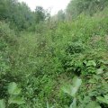 TWP_594_013